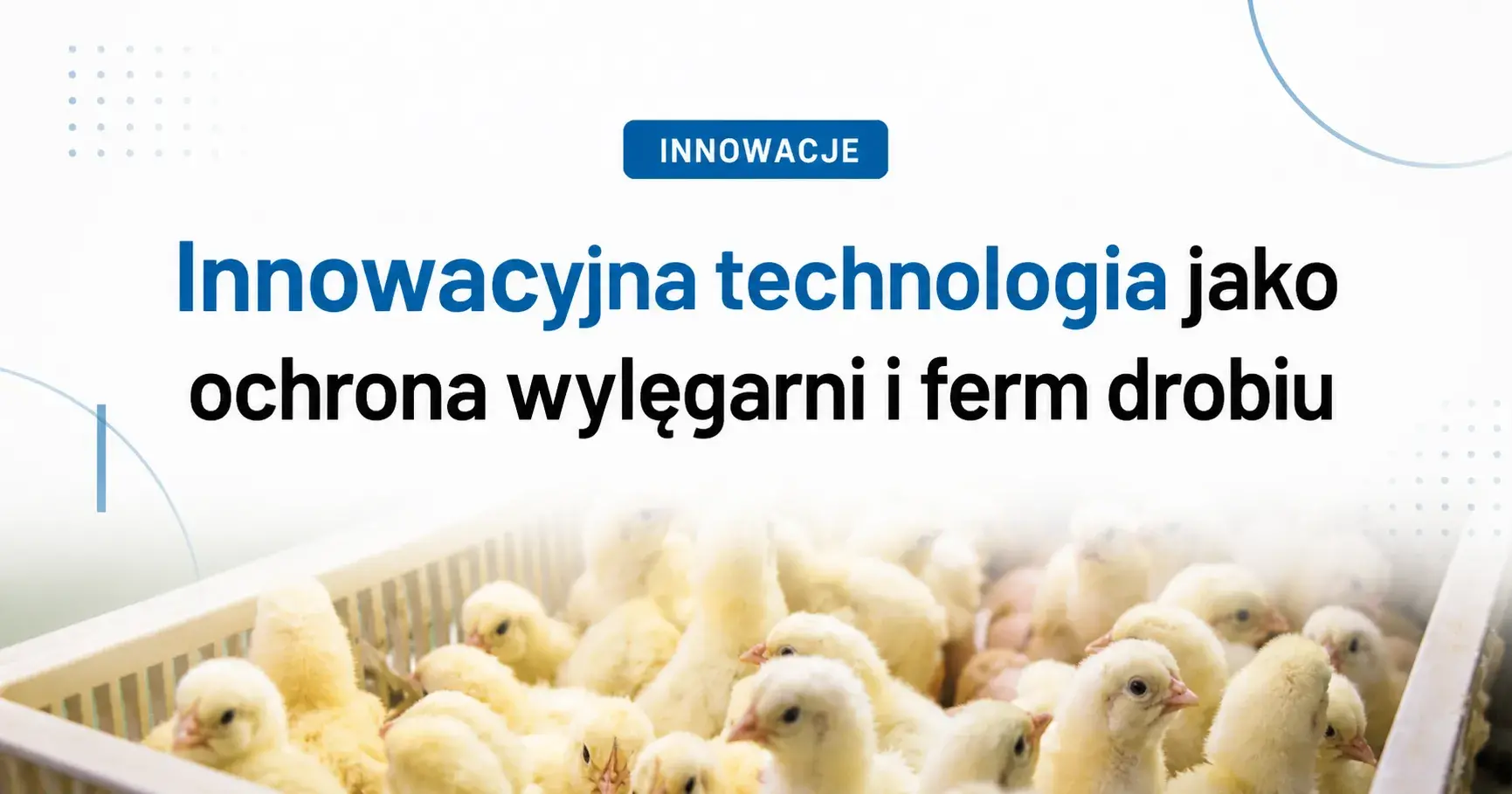 Innowacyjna technologia jako ochrona wylęgarni i ferm drobiu